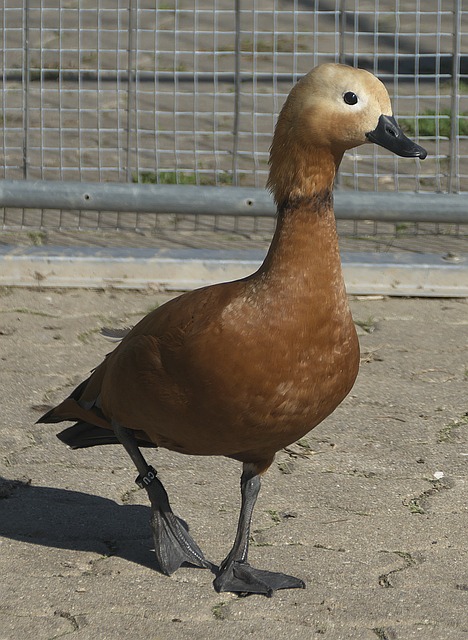 传达到位结
