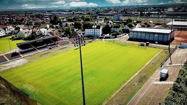 略的把控 略的把控