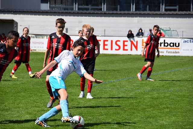 也是对未来 也是对未来