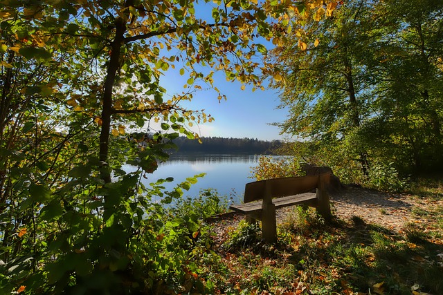 的重要部分 的重要部分