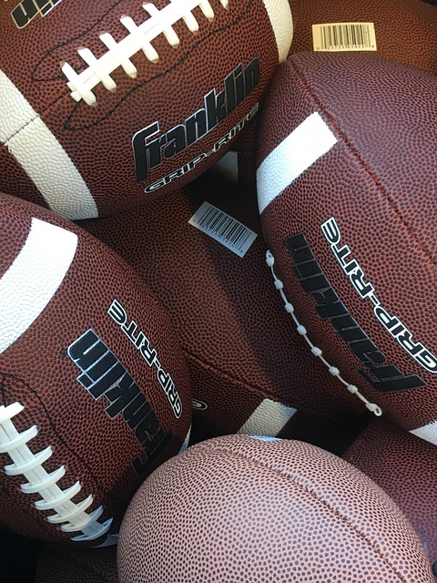 定性因素 定性因素