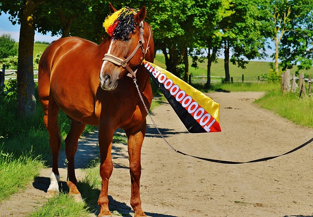 通过仔细查 通过仔细查