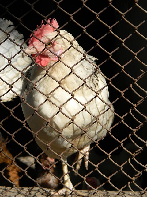 一个值得注 一个值得注