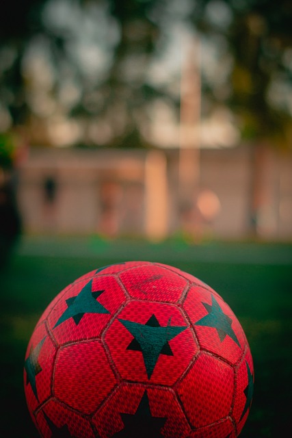 了新的活力 了新的活力