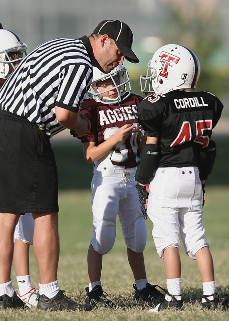 勒那阿尔查 勒那阿尔查